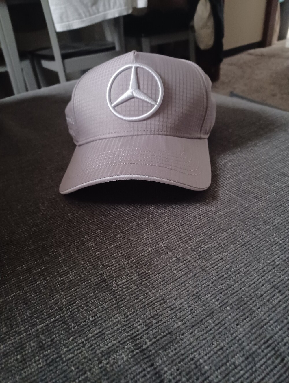 Men's Taupe Logo Baseball Cap
